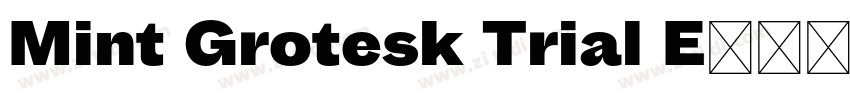 Mint Grotesk Trial E字体转换